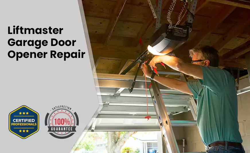 LiftMaster Garage Door Opener Repair in Oakland, FL